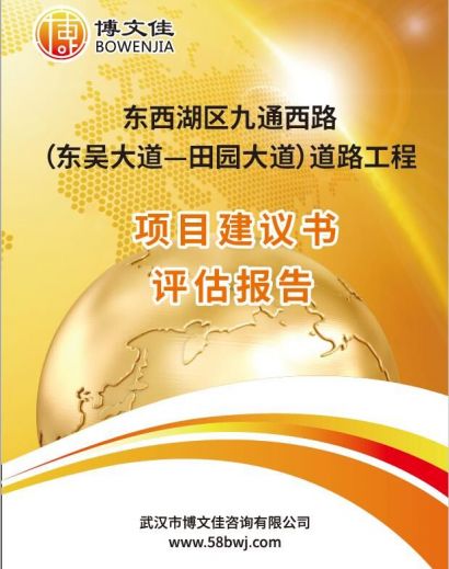 市政道路建设项目建议书评估报告