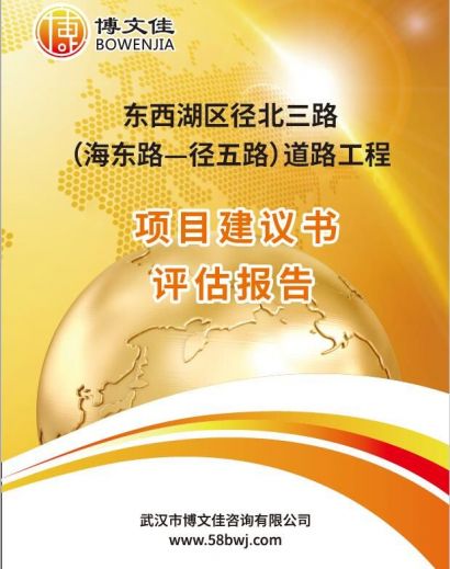 市政道路建设项目建议书评估报告