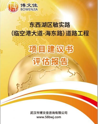 市政道路建设项目建议书评估报告