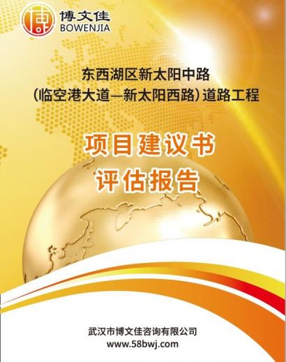 市政道路建设项目建议书评估报告