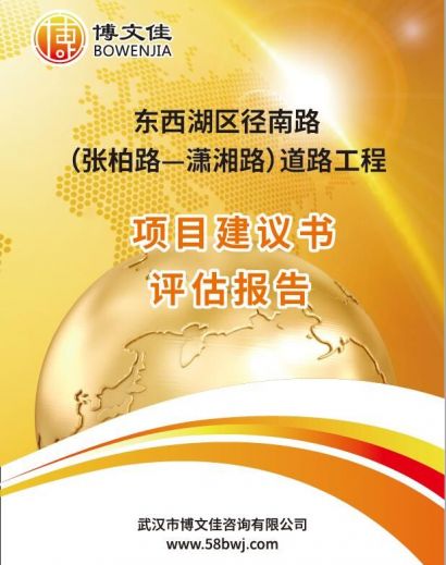 市政道路建设项目建议书评估报告