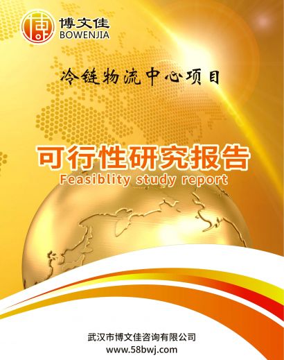 链物流中心项目可行性研究报告