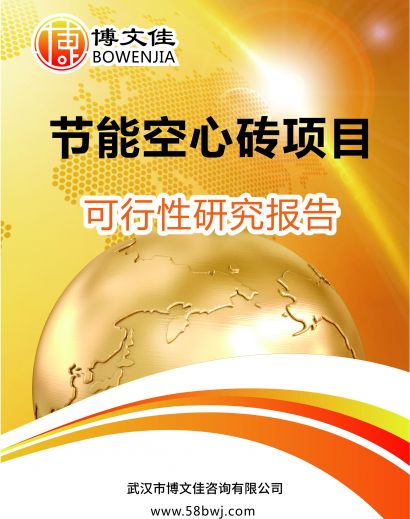 节能空心砖项目可行性研究报告