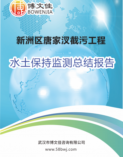 武汉市新洲区唐家汊截污工程监测总结报告
